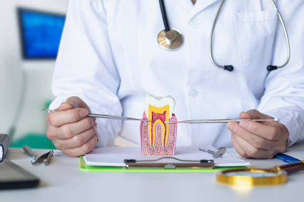 Best 24-Hour Emergency Dentist in Country Club Hls, IL